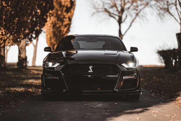 カジノ ゴールデン パレス Android/iOS アプリ